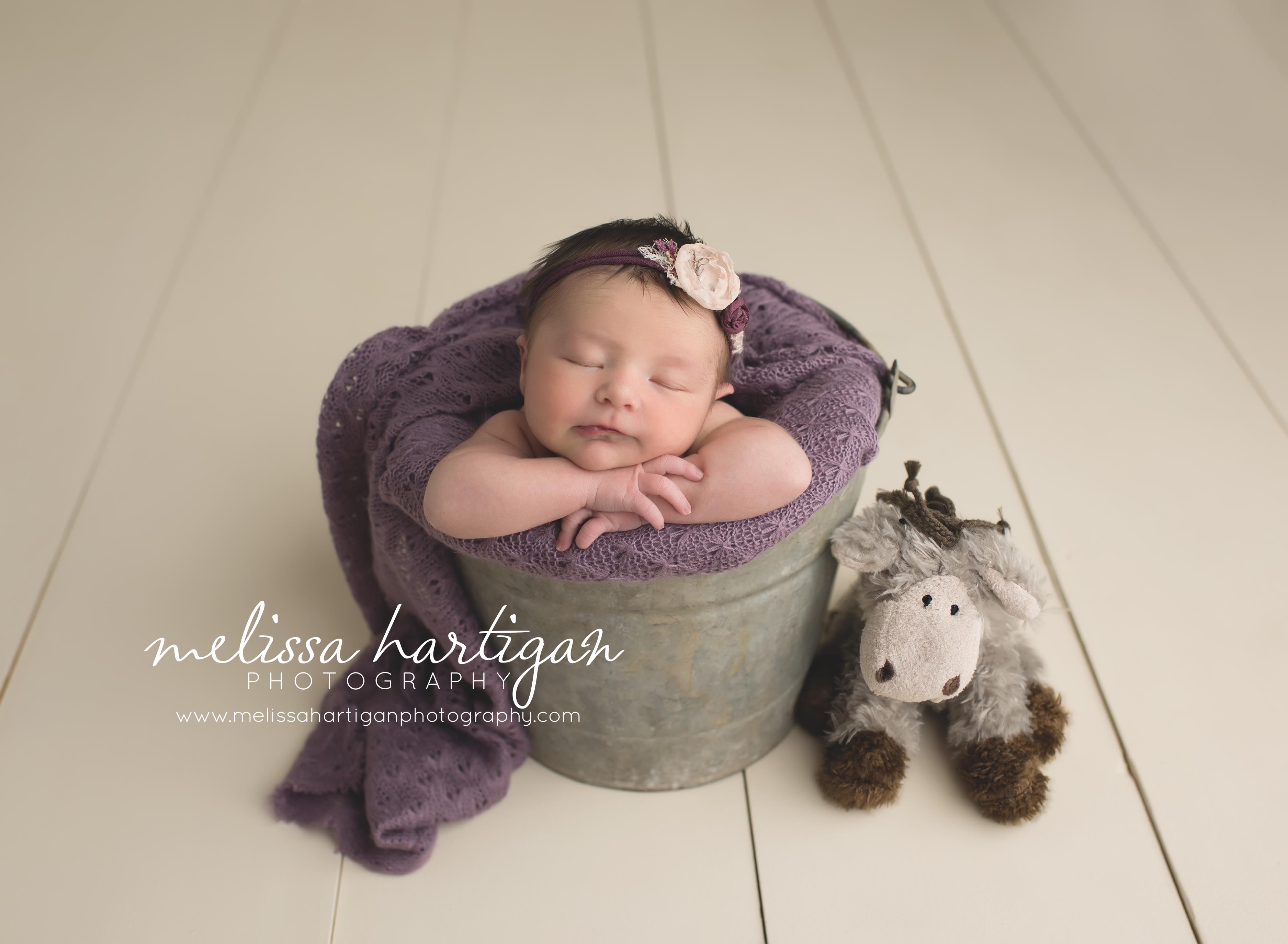 DSC_moose_metal bucket_newborn_connecticut_CT_babygirl_purple_posed_blanket_melissa hartigan photography