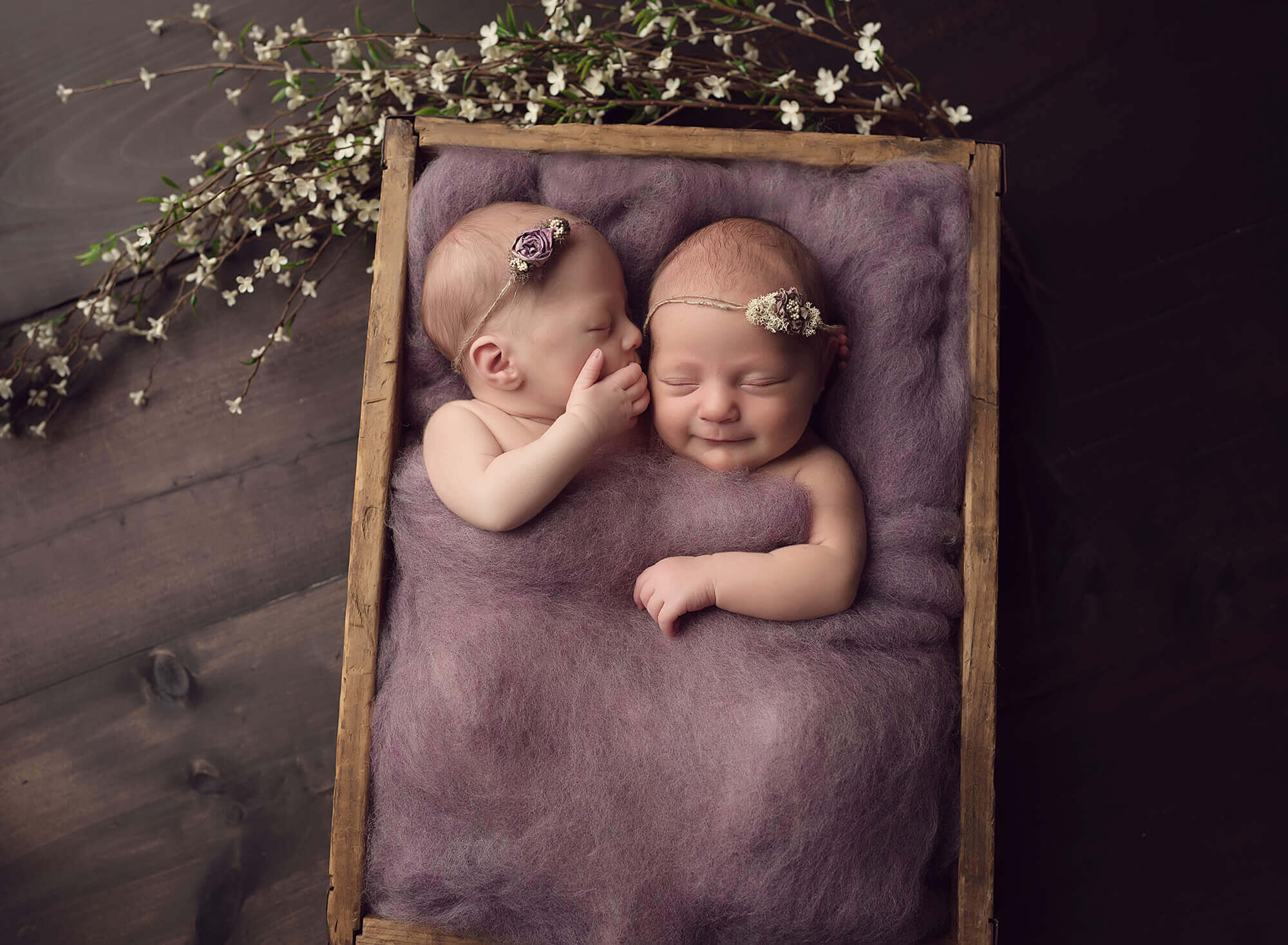 Newborn twins photography - Connecticut