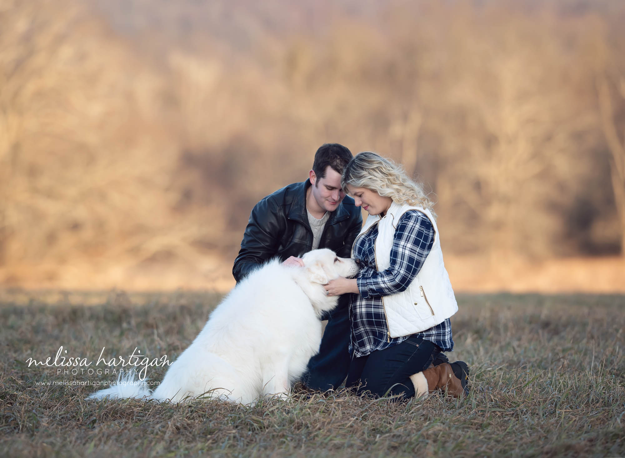 couple kneeling down with dog touching baby belly