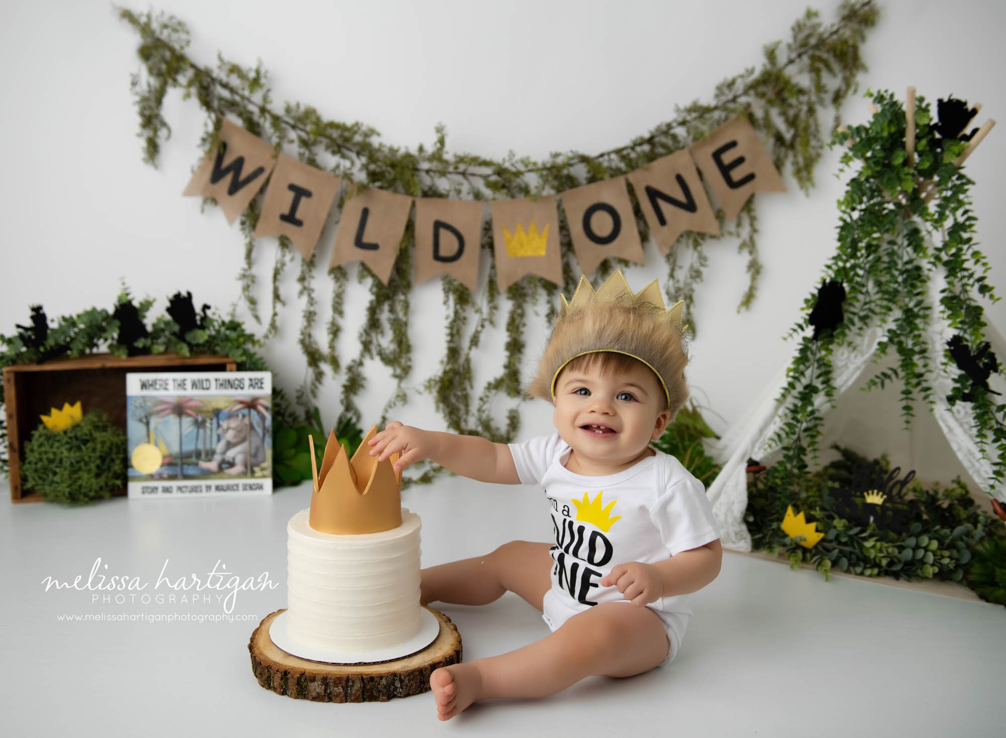 baby boy sitting next to wild one themed cake Connecticut baby photographer
