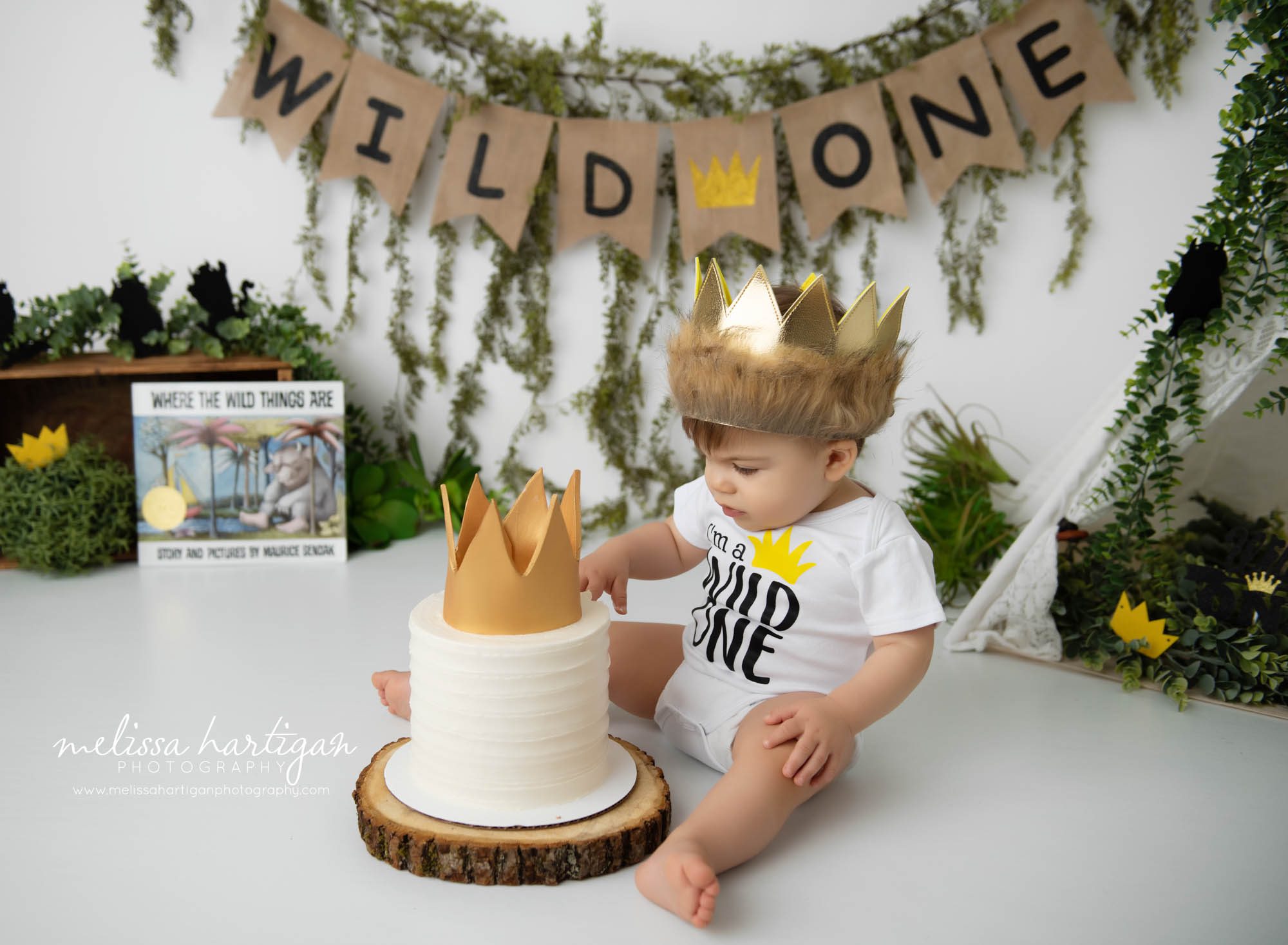 baby boy sitting next to wild one themed cake CT baby photography