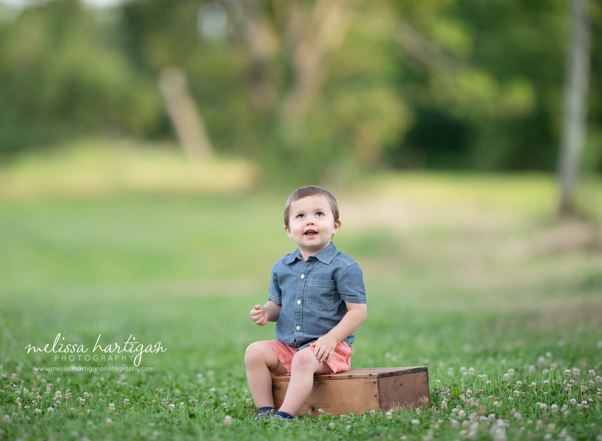 little boy sitting on wooden box in field family photography outdoors