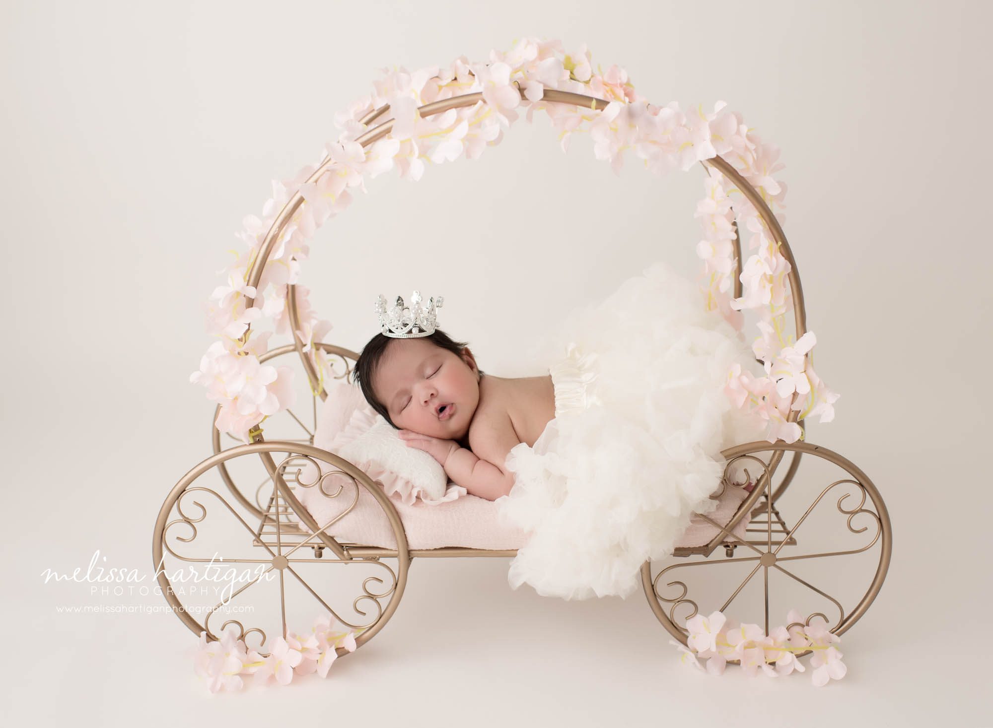 newborn baby girl posed on cinderella carriage prop