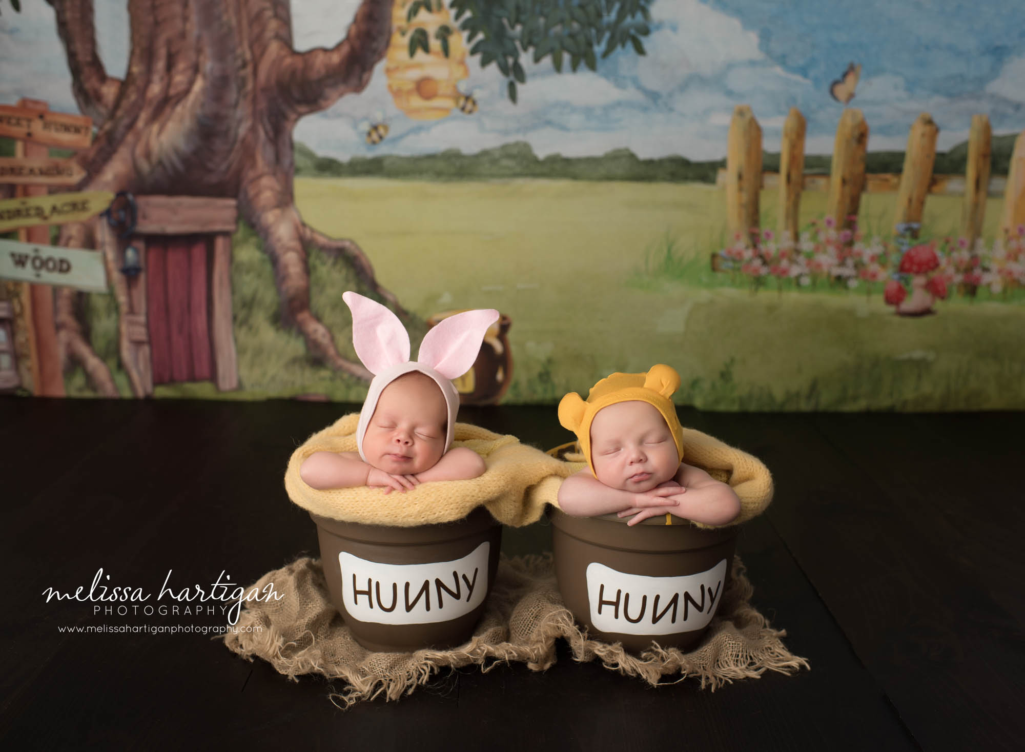 newborn boy girl twin babies posed in buckets winnie the pooh themed honey bucket setup CT Twin newborn photography specializing in twins