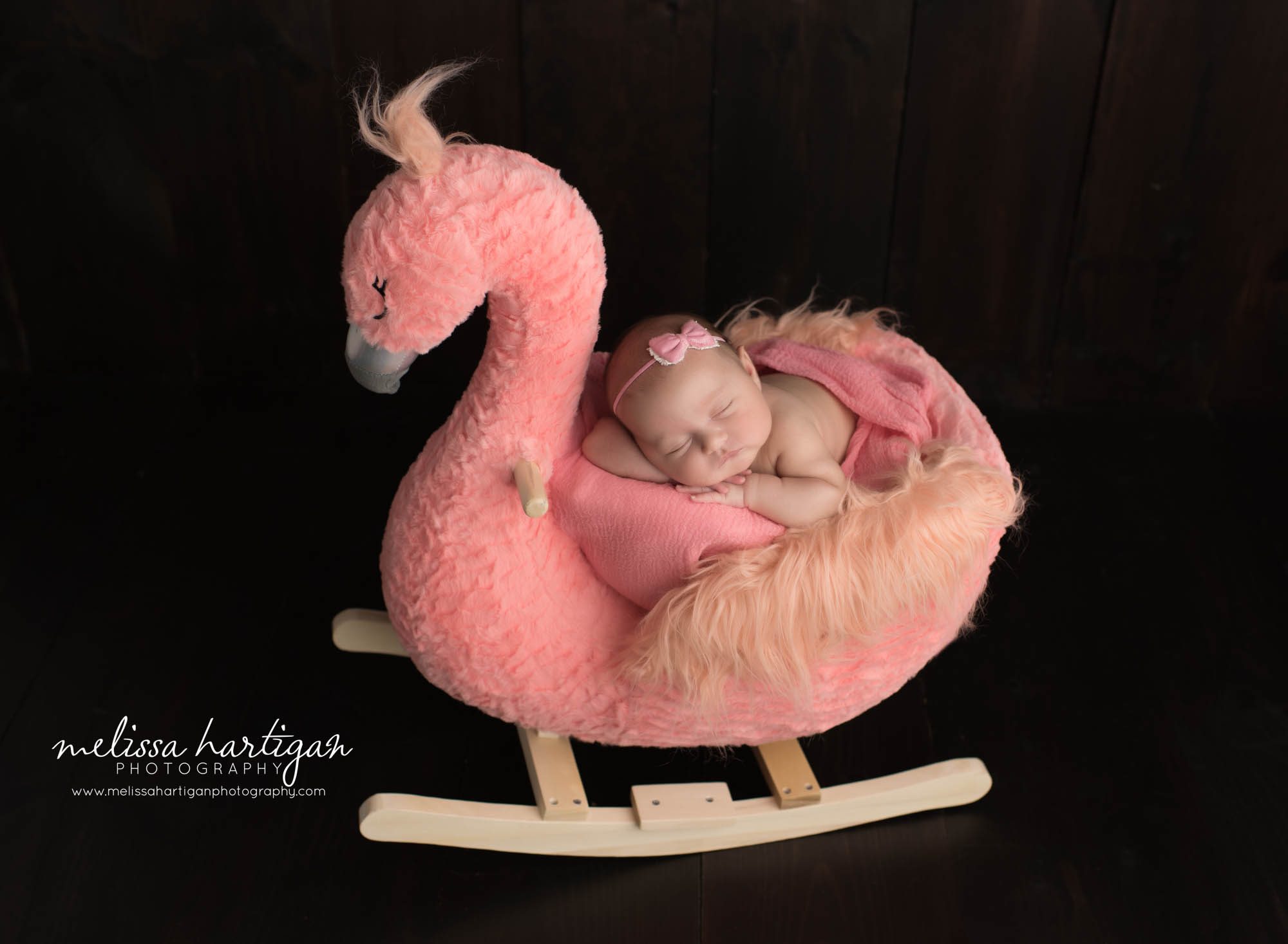 newborn baby girl sleeping posed on flamingo prop